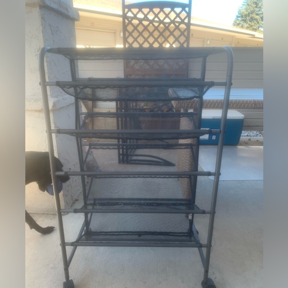 Black Metal Mesh Shoe Rack